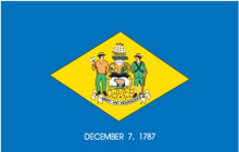 Delaware Flag