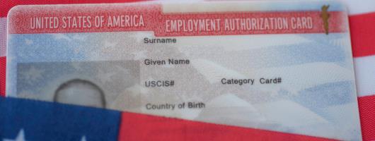 Image of an Employment Authorization Document (EAD)