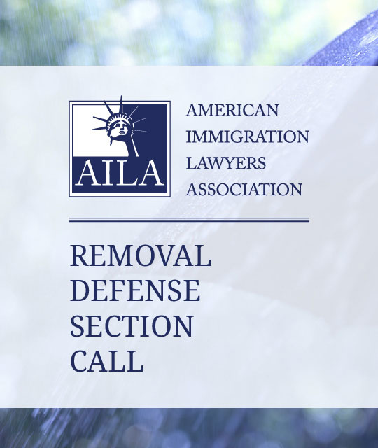 Removal Defense Section Quarterly Call (March 2025)