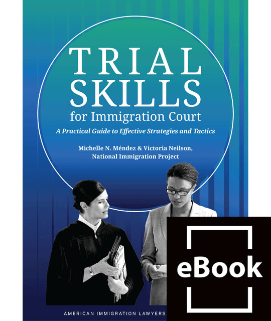 Trial Skills for Immigration Court: A Practical Guide to Effective Strategies and Tactics
