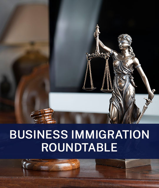 Navigating Complex RFEs: Advanced Strategies Discussion for O-1 and EB-1A Petitions